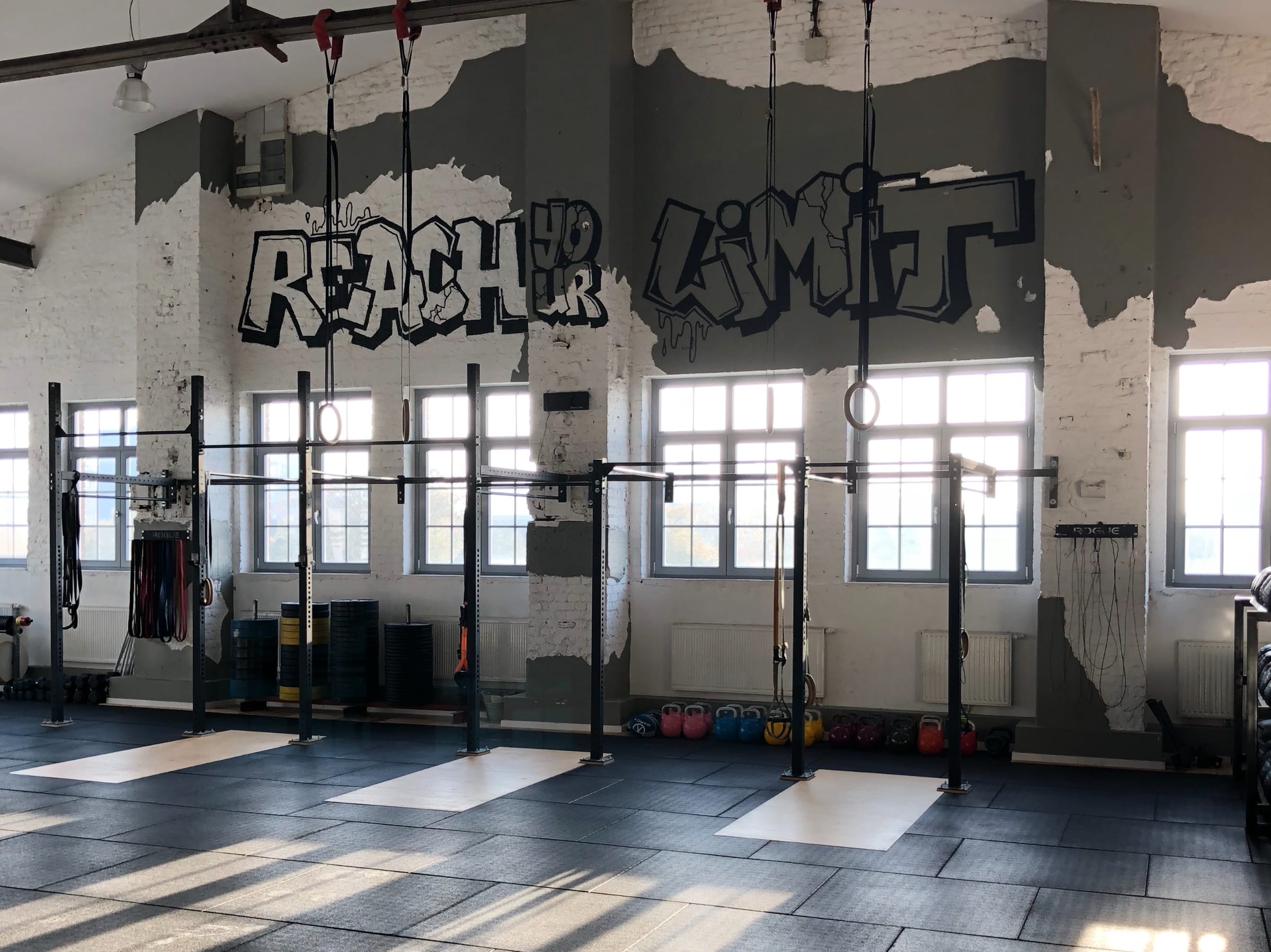 Das „Rig“ im Gym