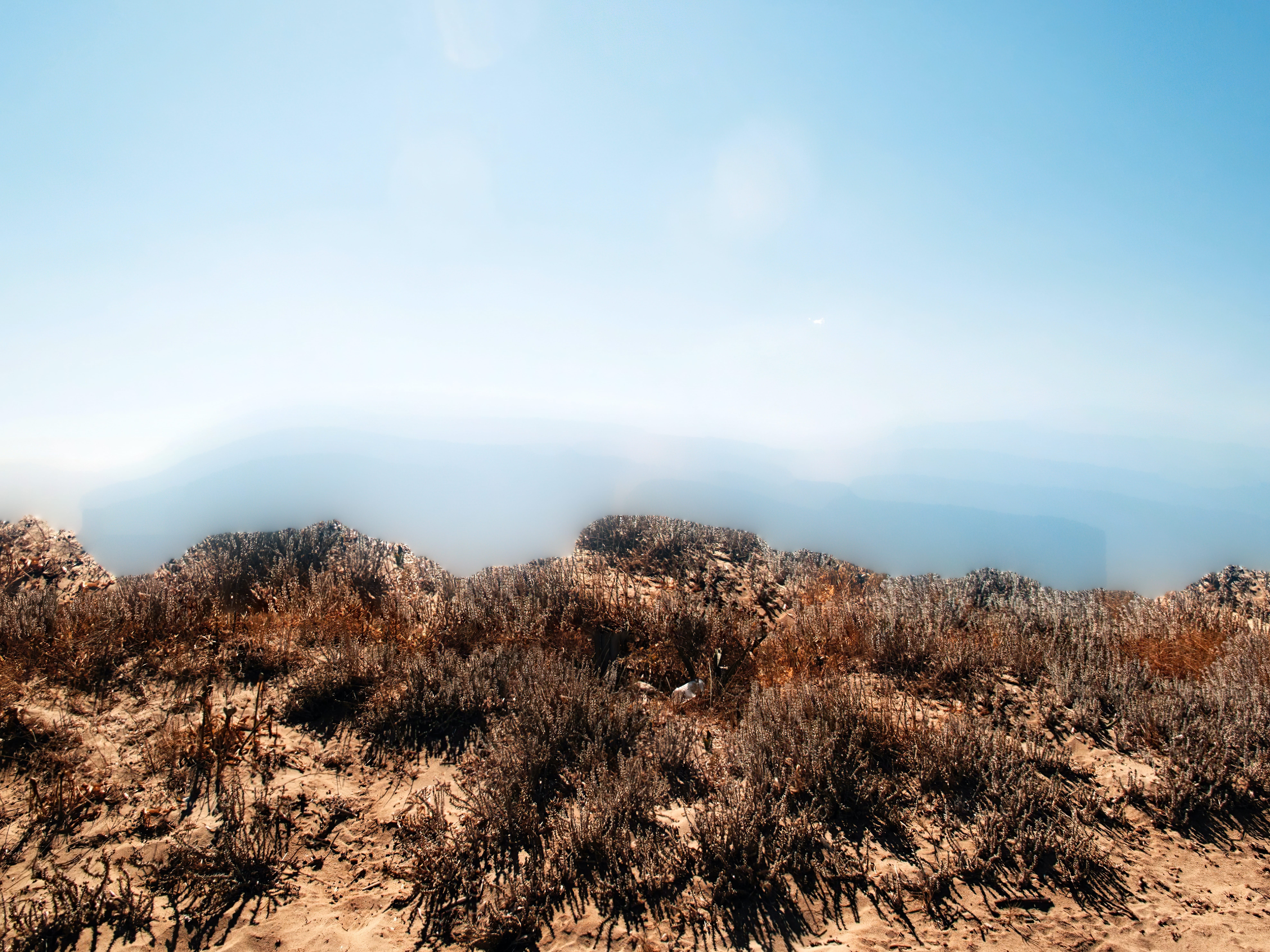 (No) Horizons Nr. 12