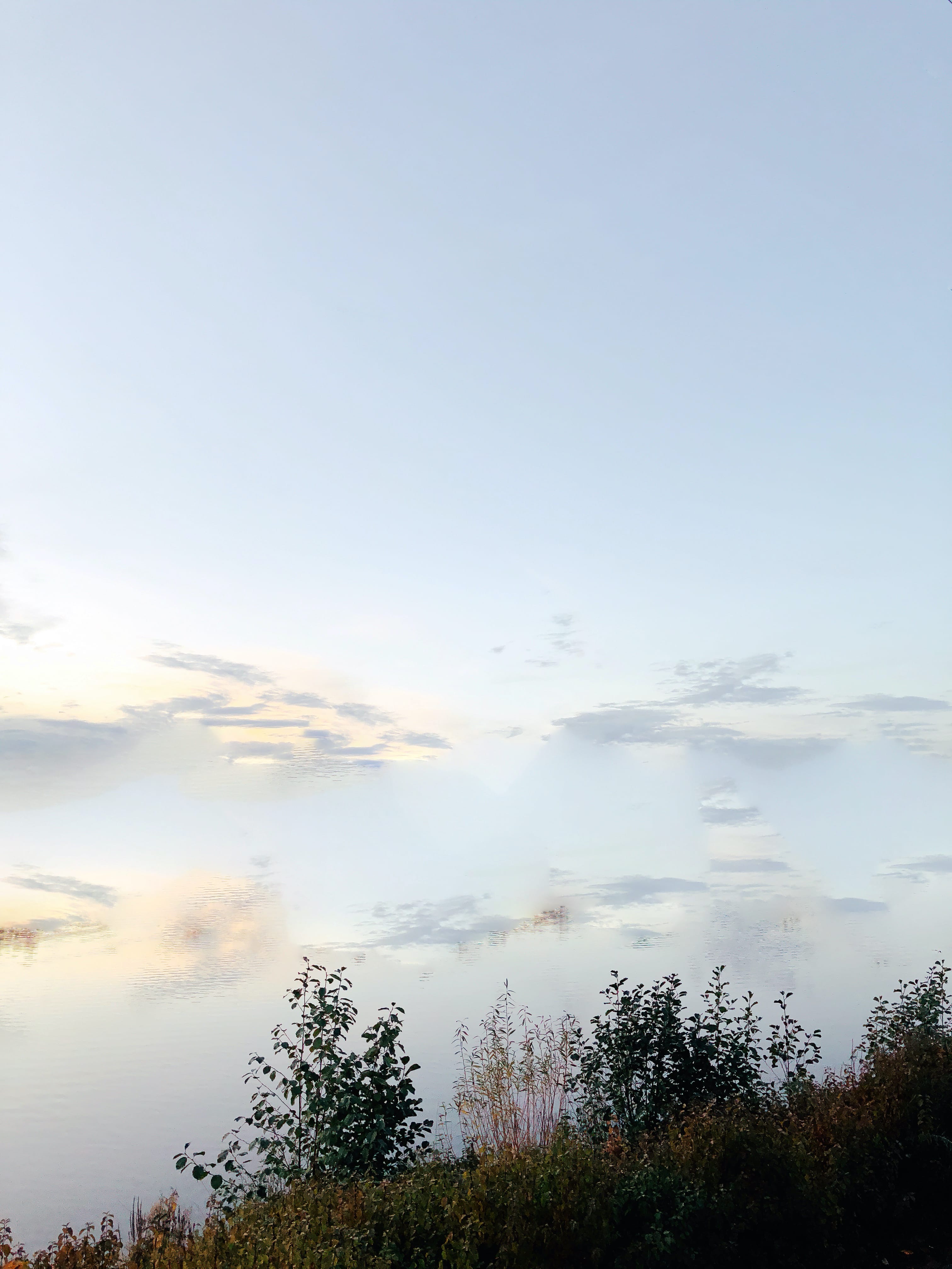 (No) Horizons Nr. 14