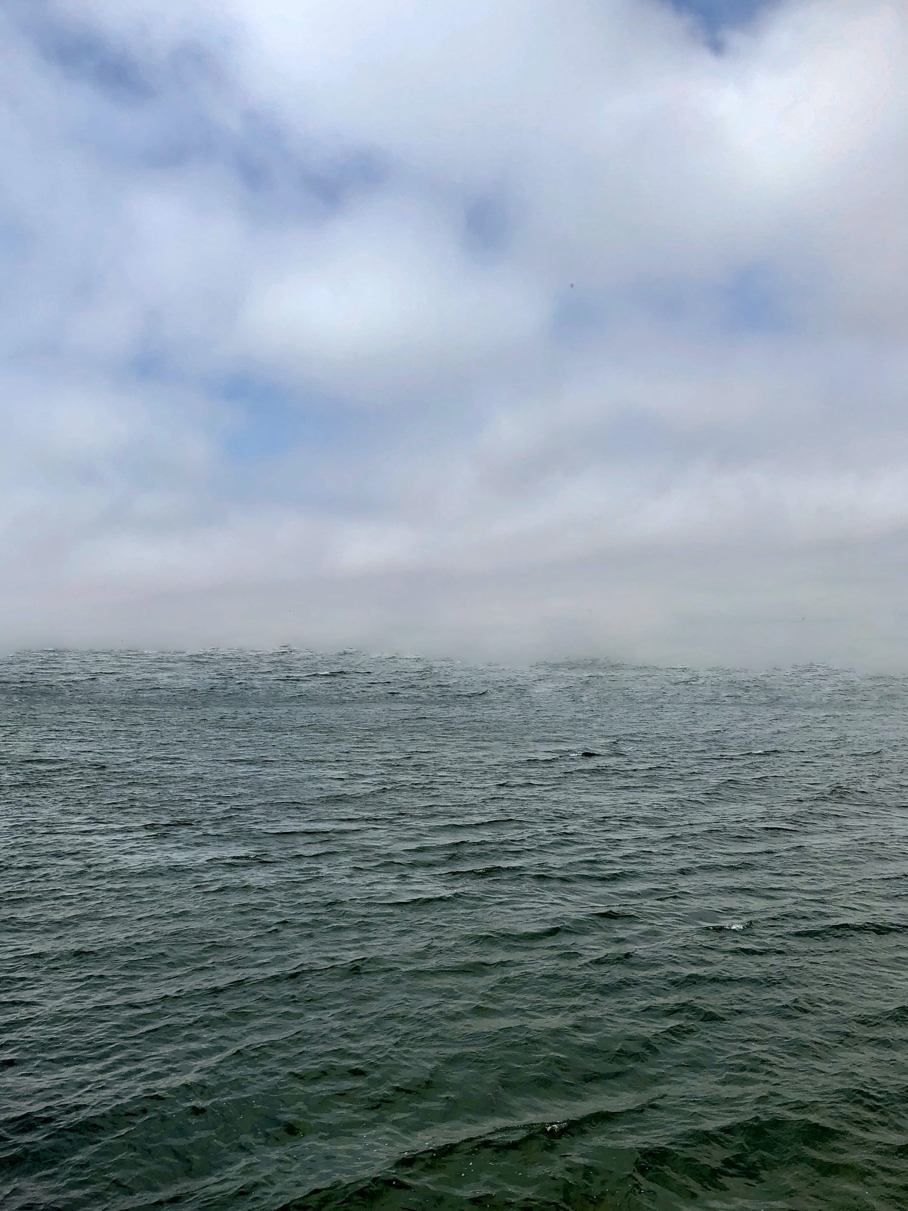 (No) Horizons Nr. 16