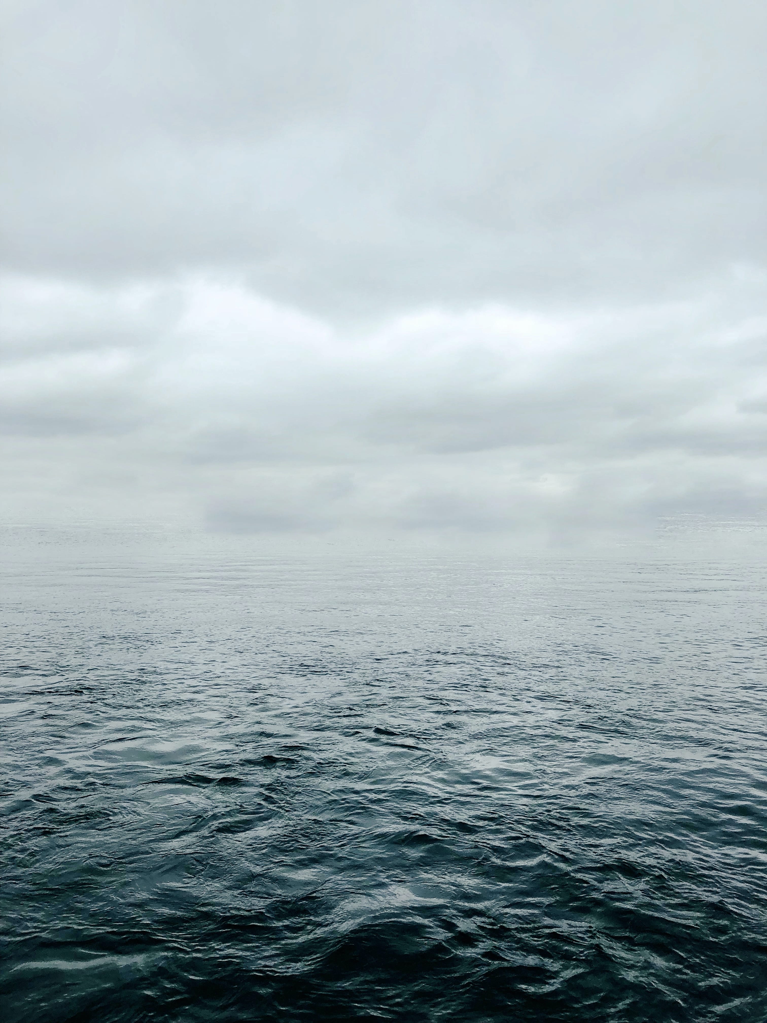 (No) Horizons Nr. 21