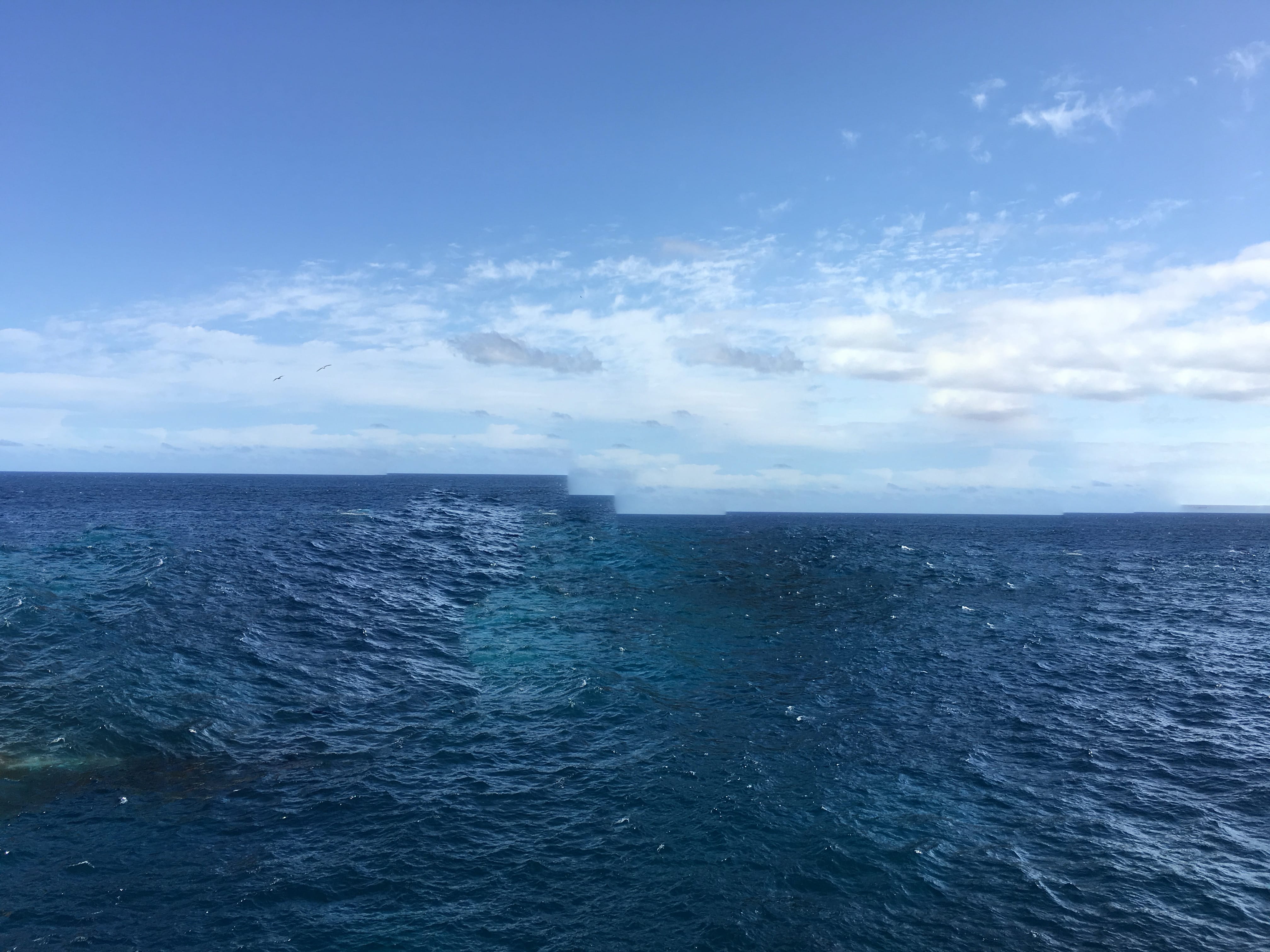 (No) Horizons Nr. 23