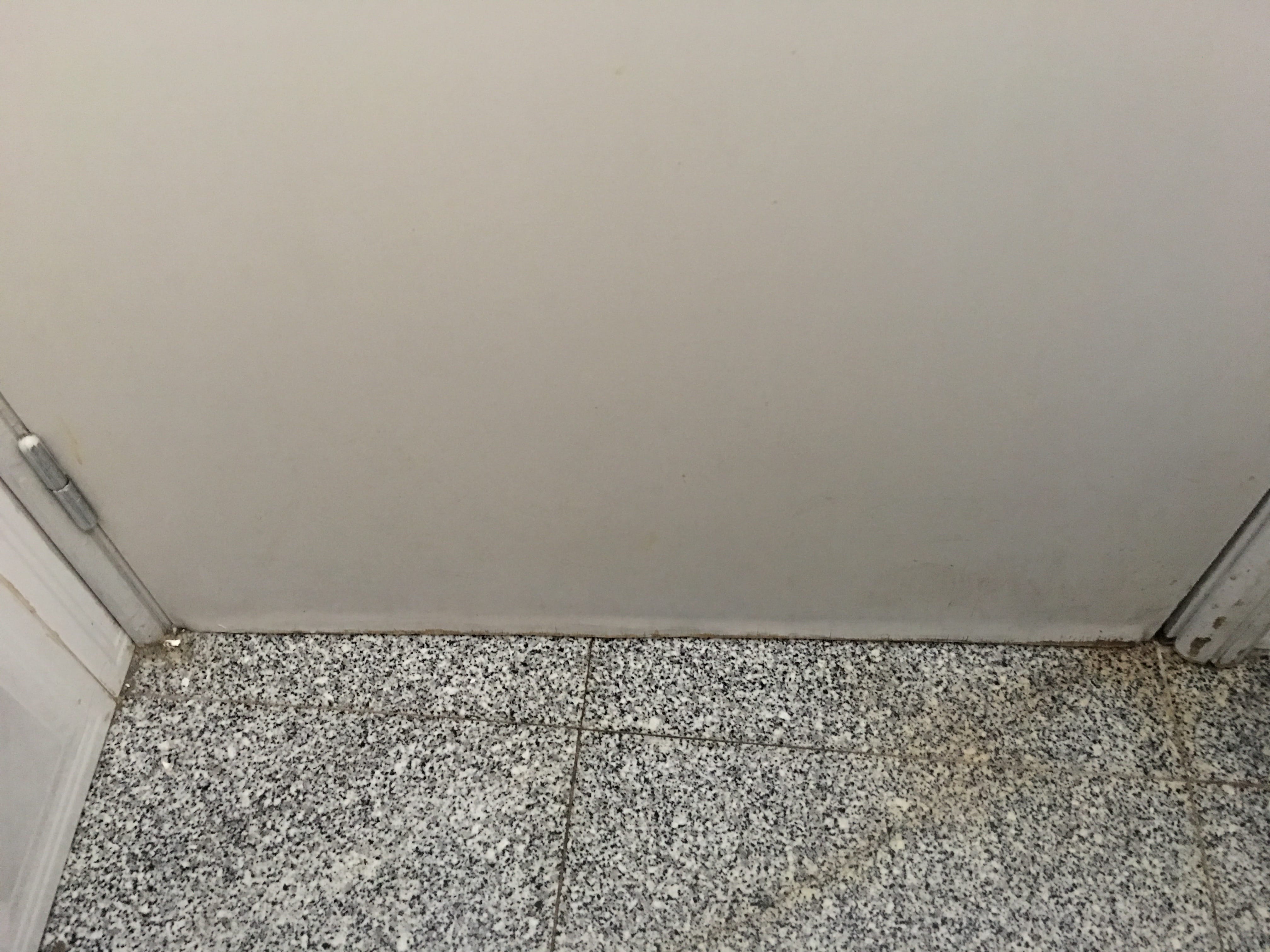 Toilettentüren Nr. 34: „Praia Paul do Mar“, Paul do Mar / Madeira (2016)
